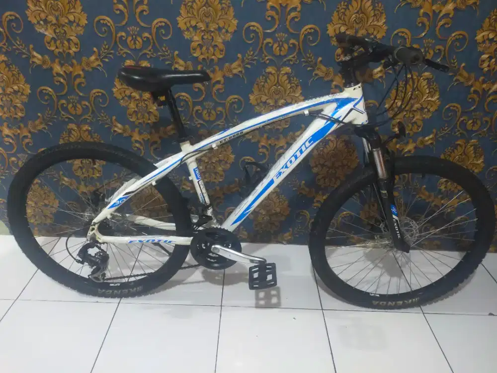 Sepeda gunung ring 26