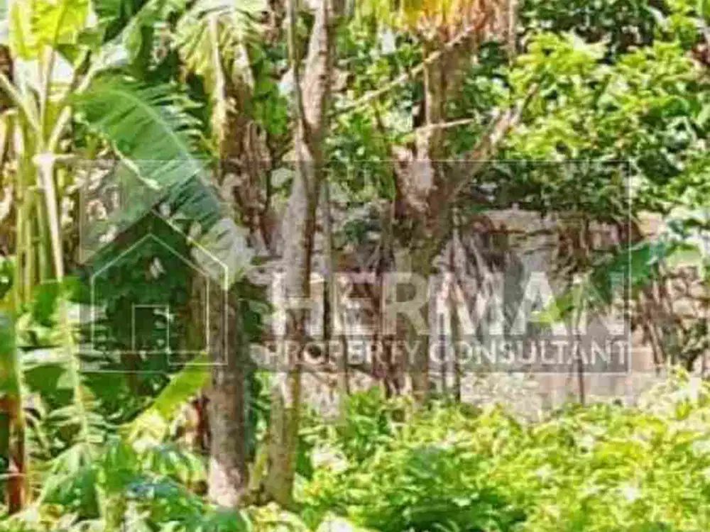 Tanah Tembalang Bulusan Undip