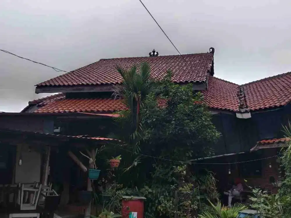 Rumah bagus nuansa etnik shm di cibubur 1 jakarta timur