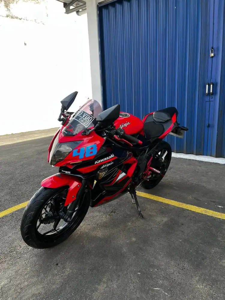 Kawasaki ninja mono 2016