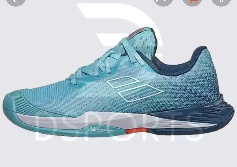 Alat olahraga buluu tangkis