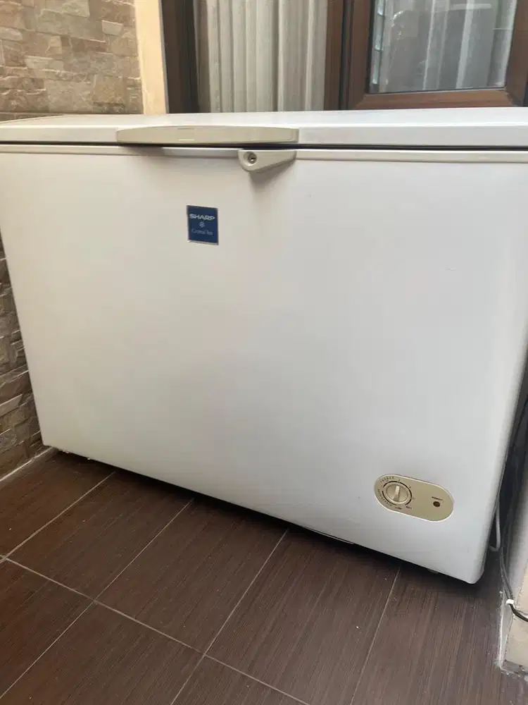 Freezer Kapasitas 100 ltr