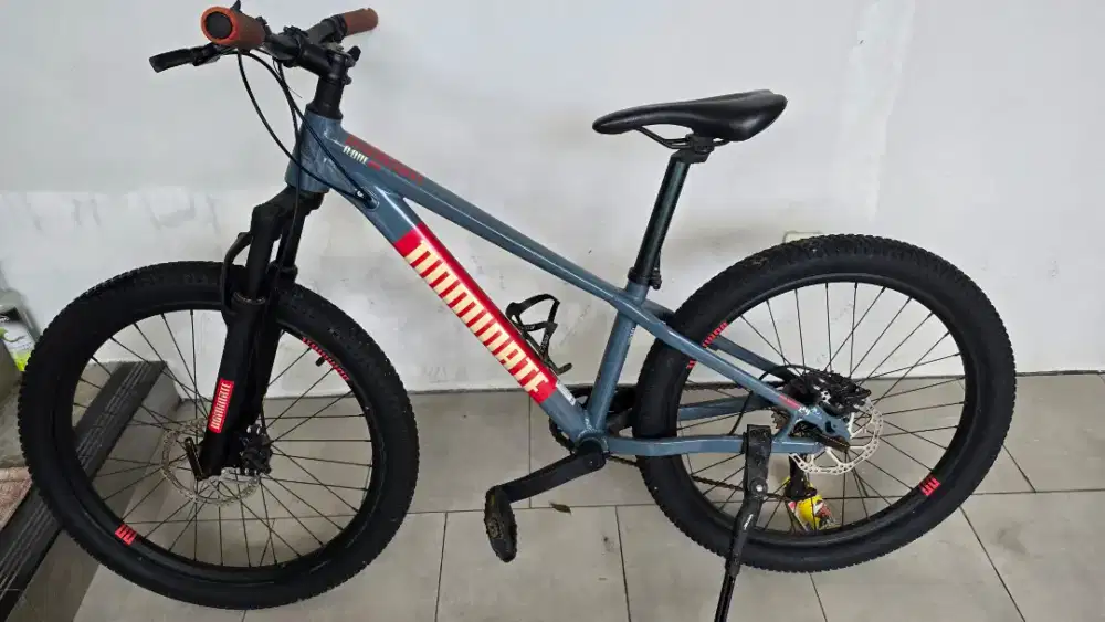 Sepeda United Dominate A-one junior 24