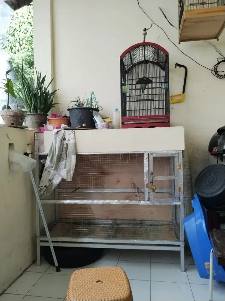 Kandang ternak burung