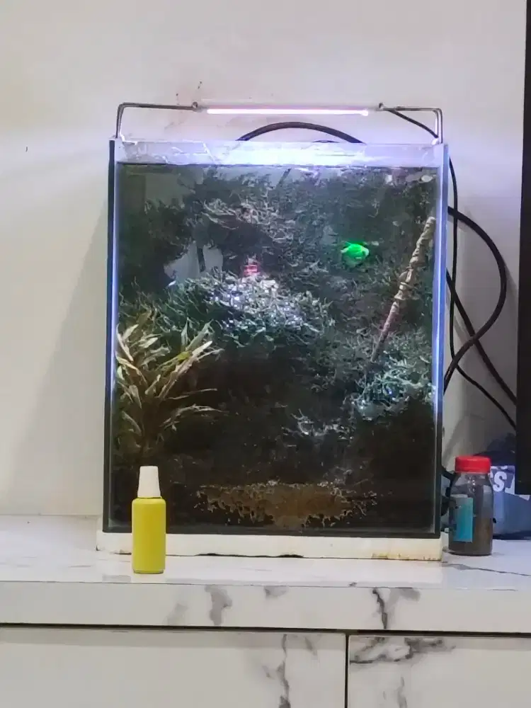 Jual aquarium (lengkap rmput dan ikan), kandang hewan