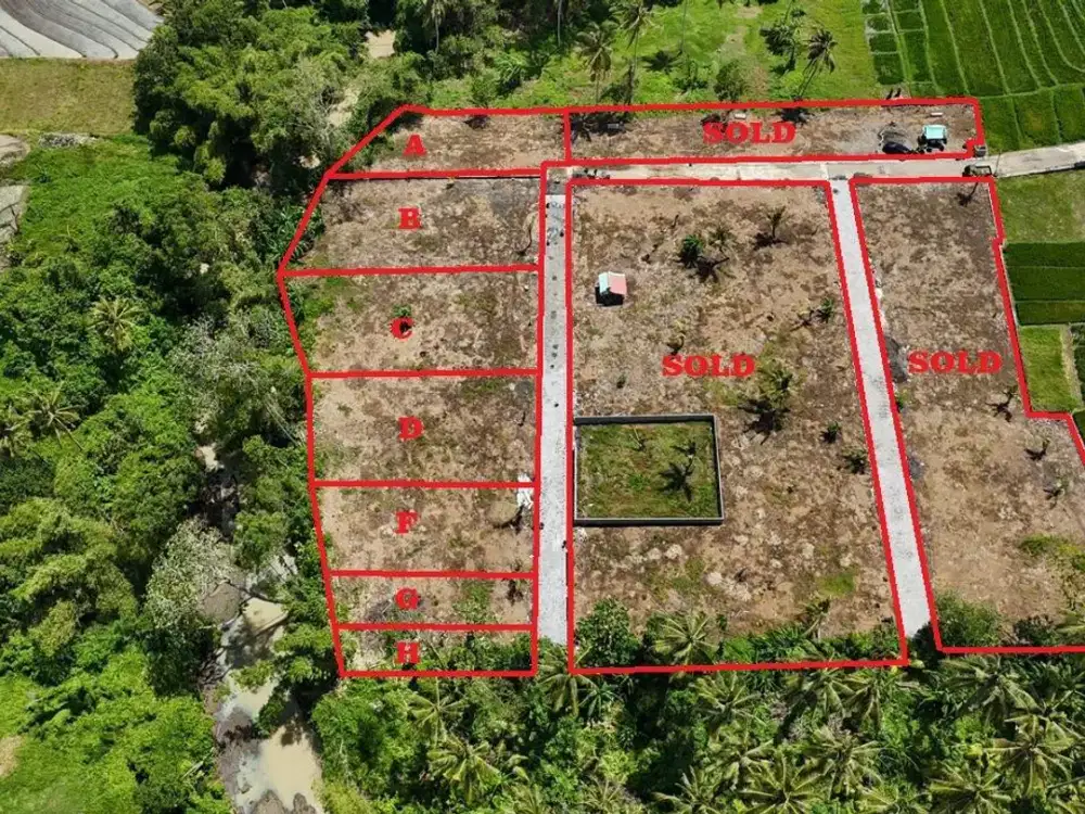 Tanah gebang gading beraban tabanan bali