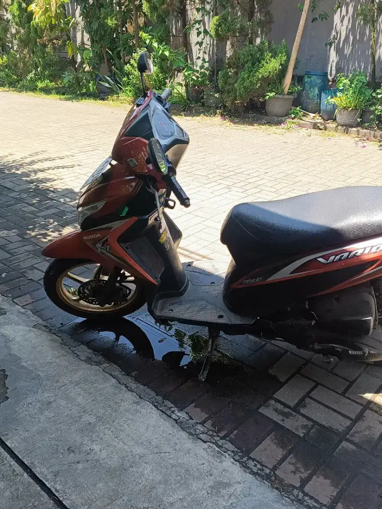 Vario agnes lkp pajak panjang