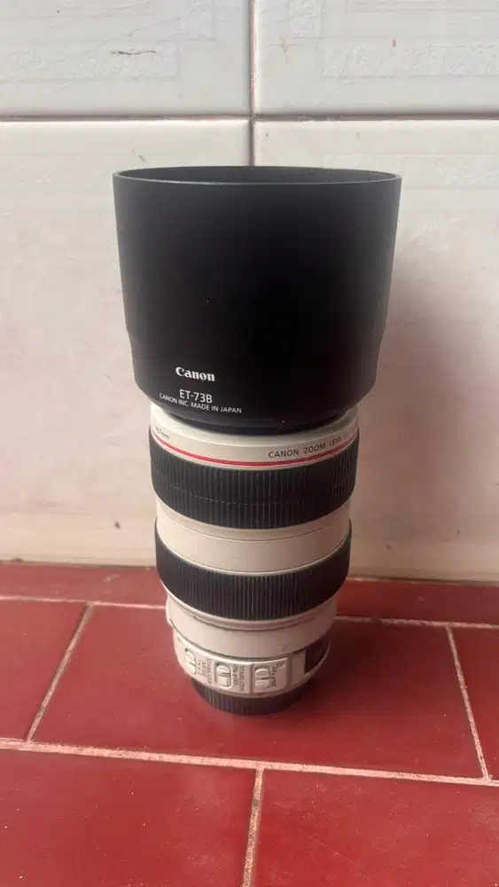 Canon USM 70-300 4.0/5,6