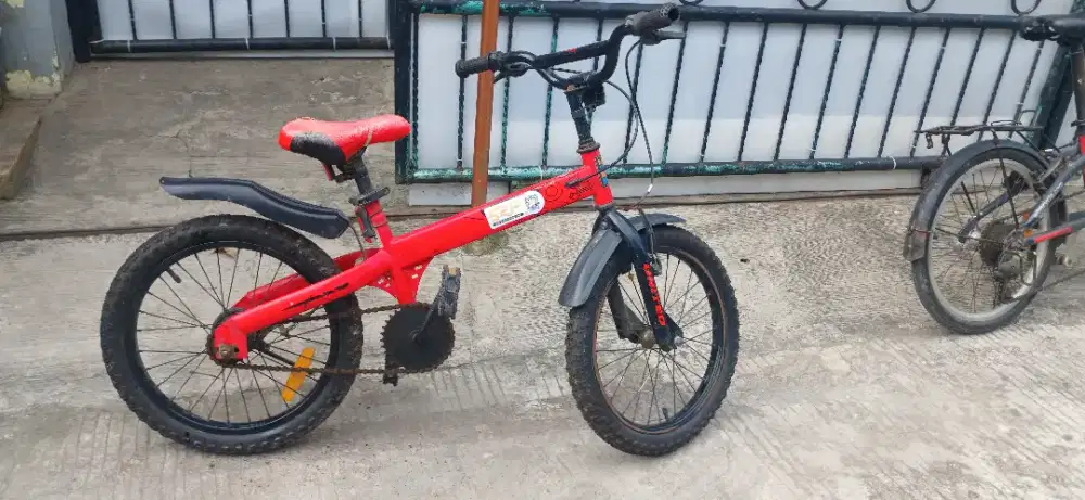 Sepeda anak cowok.