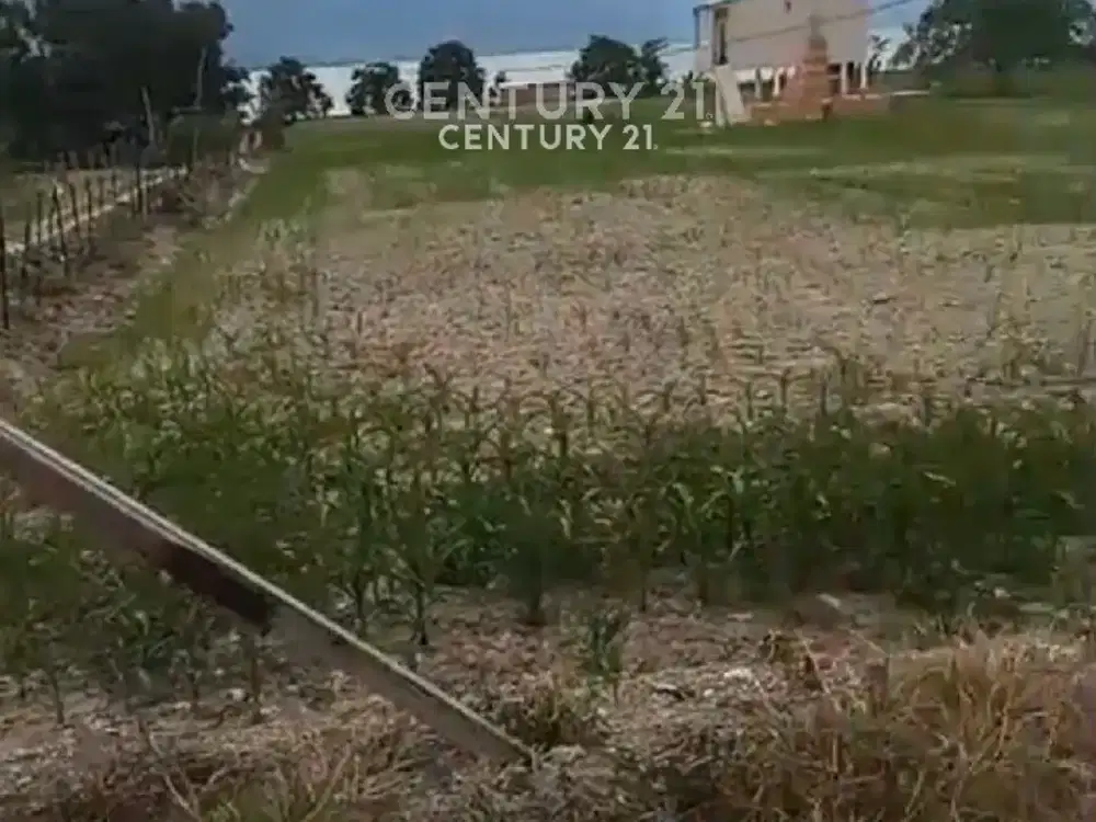 DIJUAL TANAH KAVLING LUAS DI SAMOSIR SUMATERA UTARA