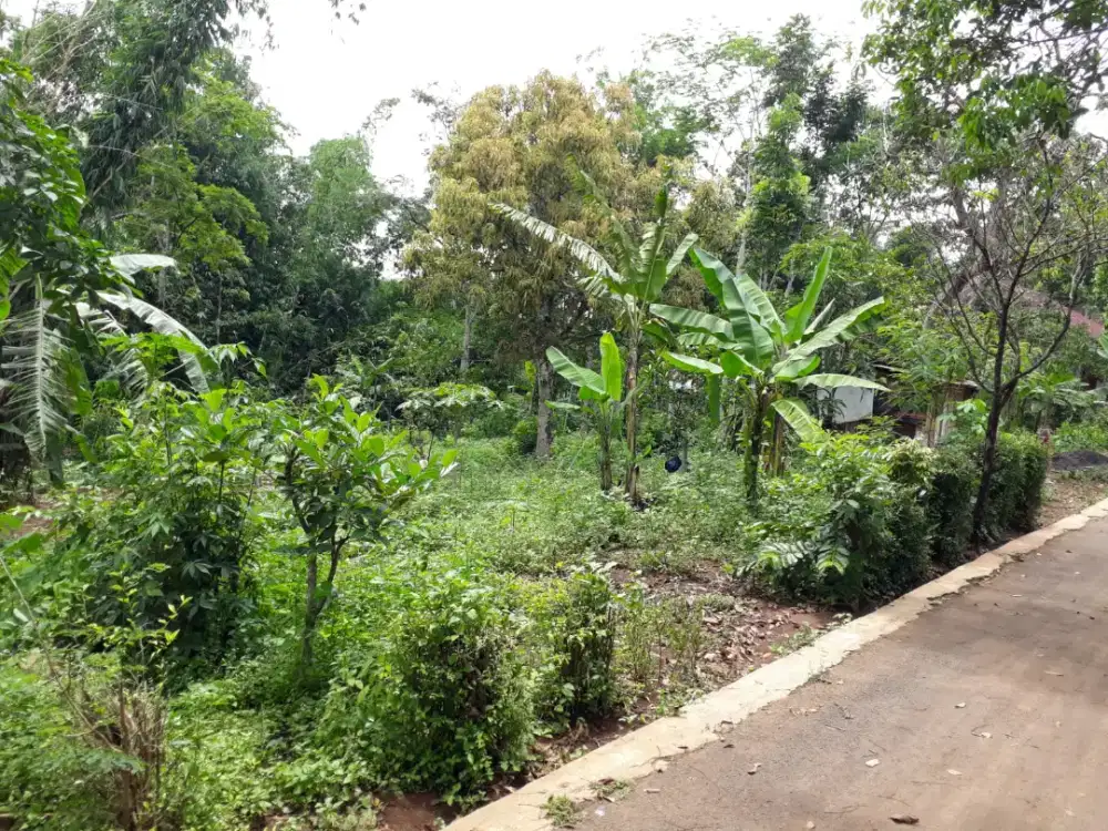 DIJUAL TANAH LOKASI BAGUS