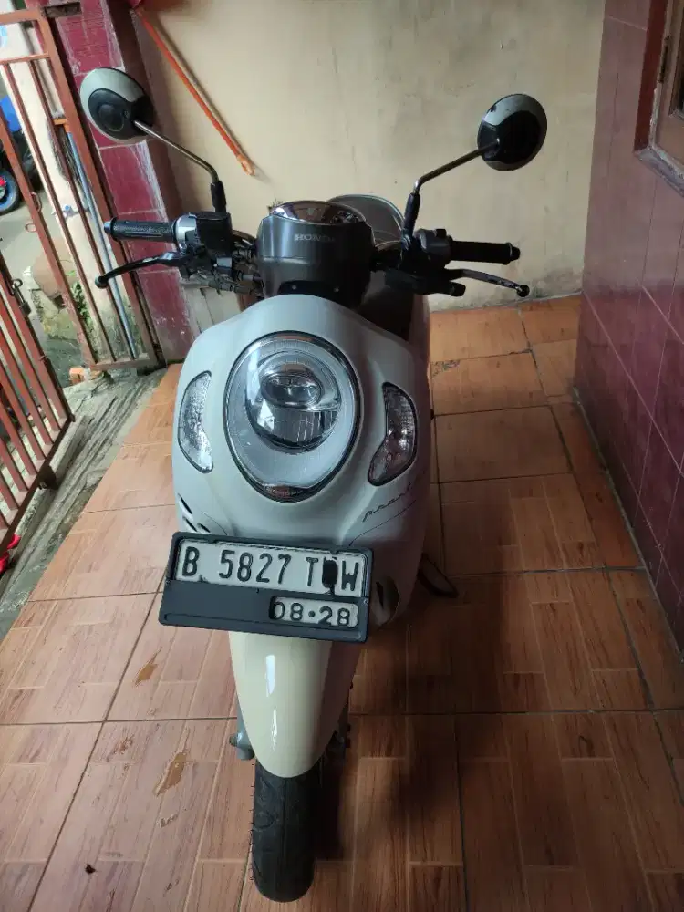 Scoopy Prestige 2023