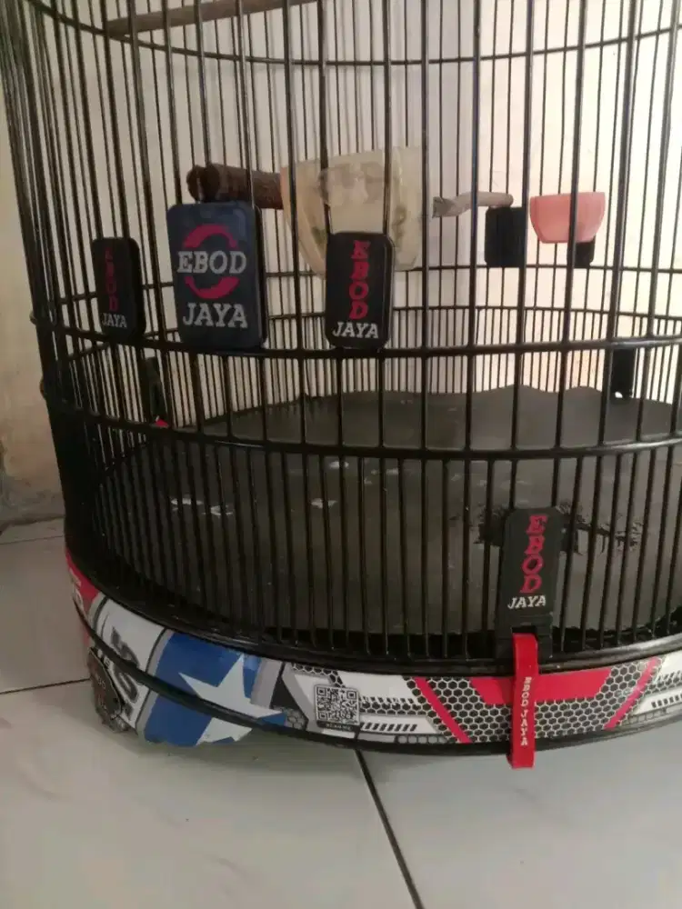 KANDANG EBOD DECAL NOMOR 2