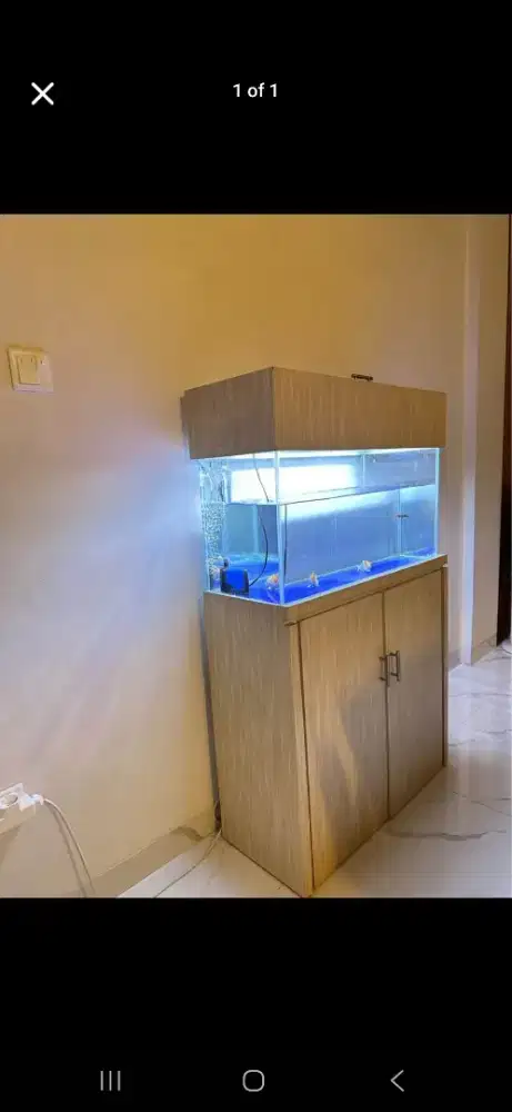 Aquarium + lemari