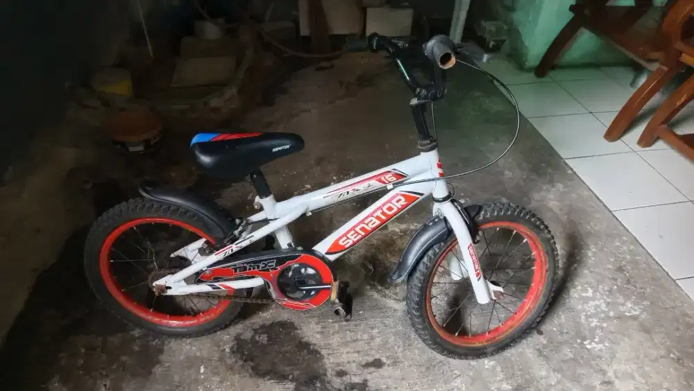 Sepeda anak ring 16