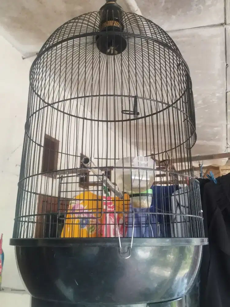 Kandang bulet besi besar