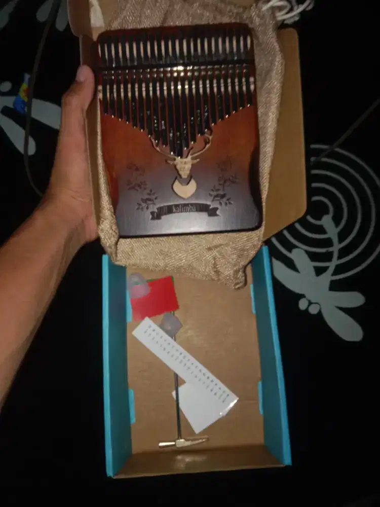 ALAT MUSIK KALIMBA