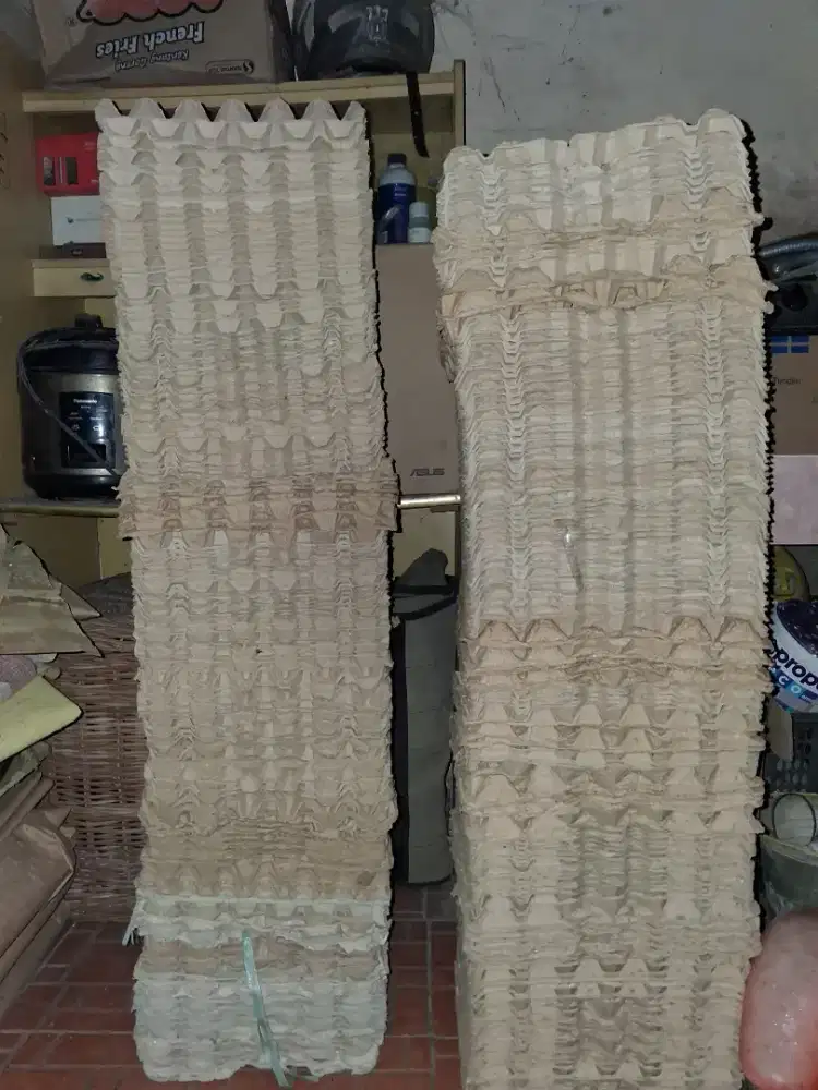 Egg try atau wadah telur