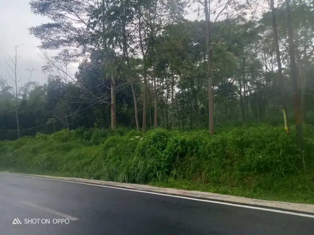 Tanah pekarangan getasan