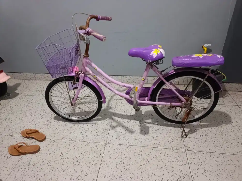 Sepeda bekas bagus gasss