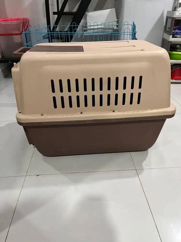 Kandang anjing box