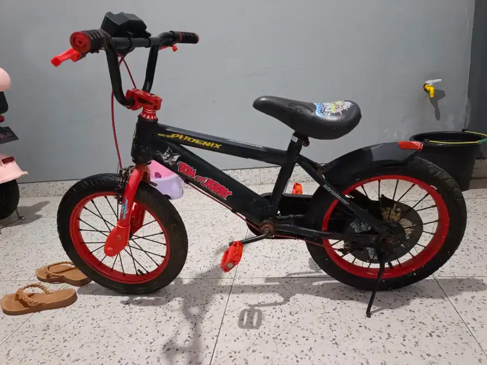 Sepeda anak bekas masih bagus