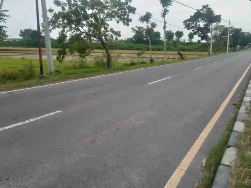 Tanah di Bypass Nganjuk.