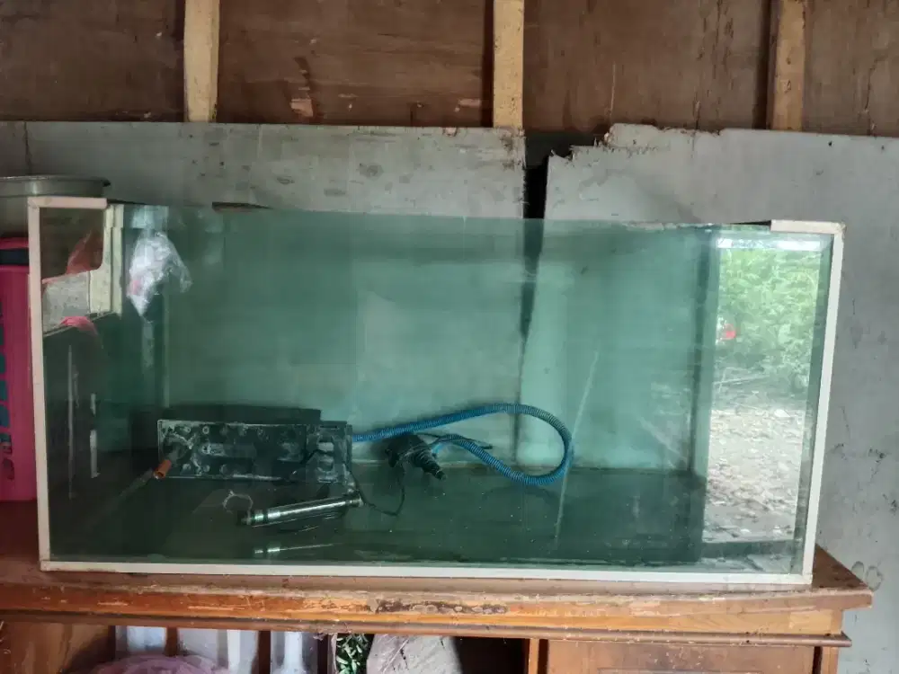 Buat yg hobi pelihara ikan hias