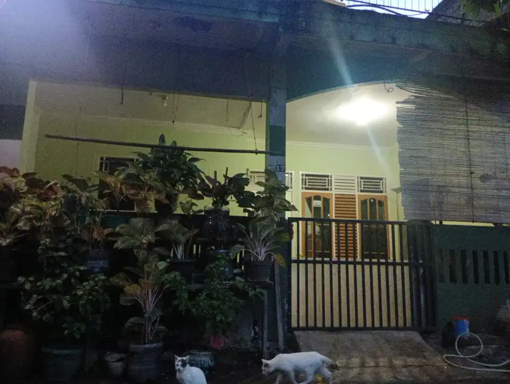 Asisten rumah tangga