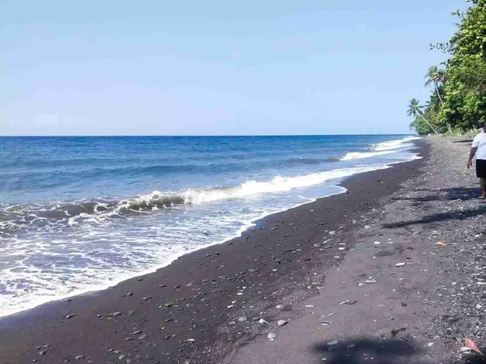 Tanah murah los pantai di Lovina singaraja Bali