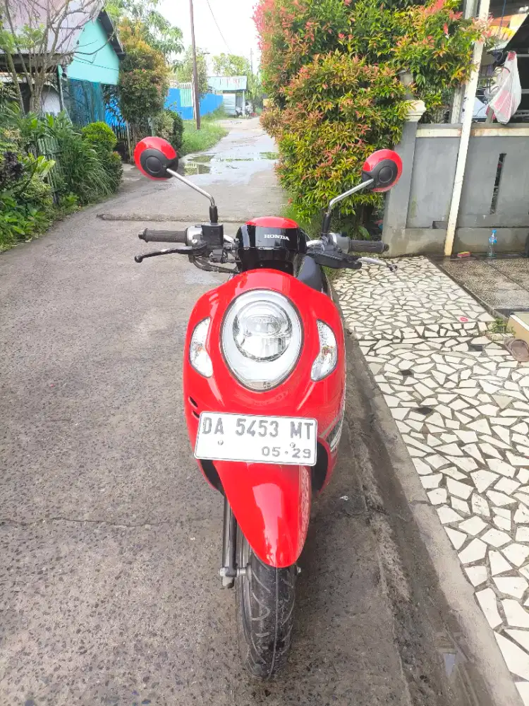 Scoopy 2024 sporty