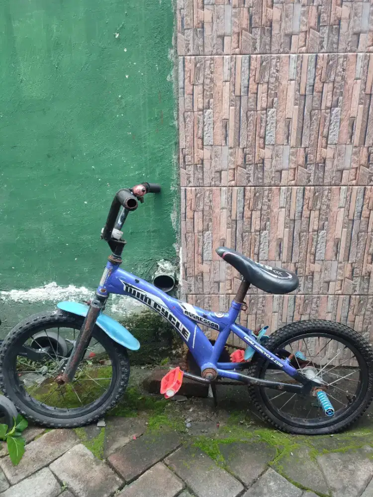 Dijual Sepeda Murah Buy 1 Get 1