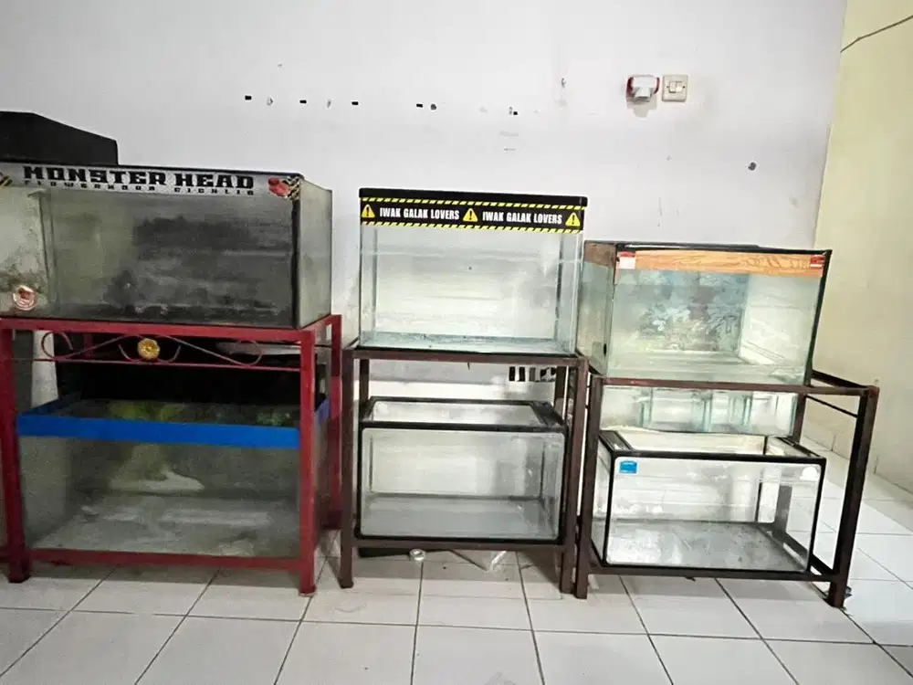 Jual Aquarium Murah
