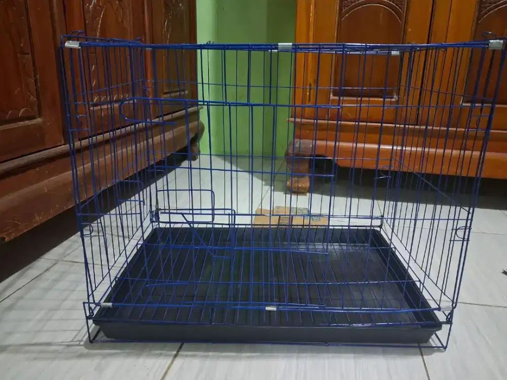 Kandang Kucing Standar