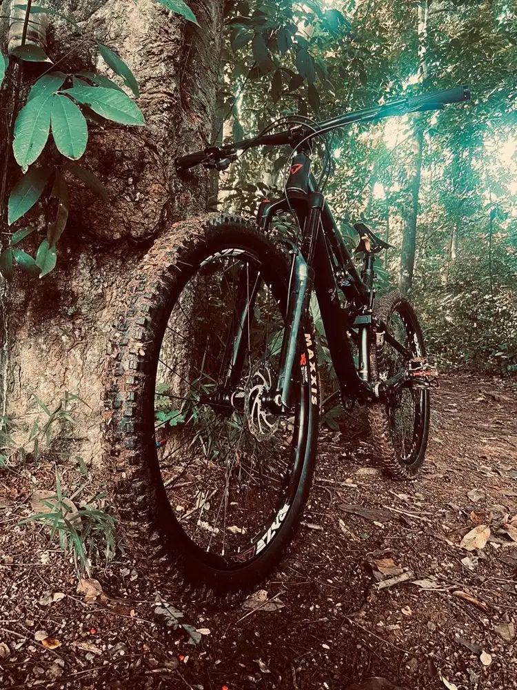 Sepeda Gunung (MTB) Thrill Richocet 2020 T12