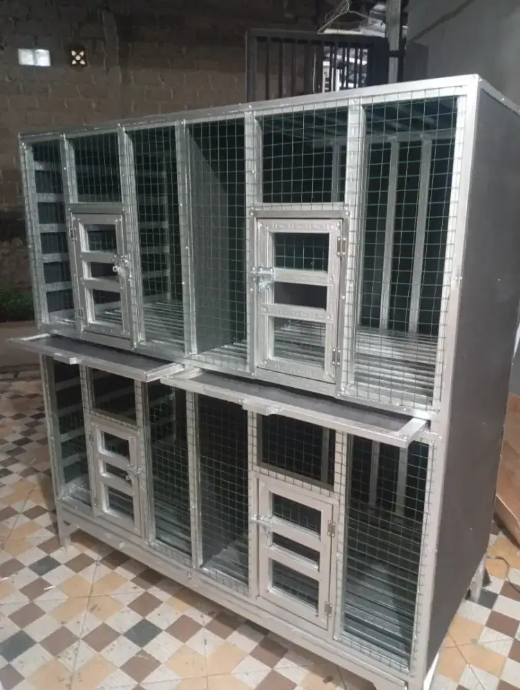 kandang ayam bangkok dll