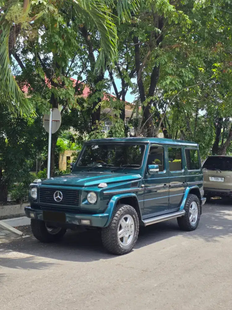 Mercedes Benz G300
