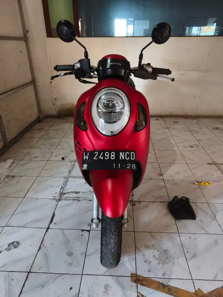 Scoopy Stylish 2021