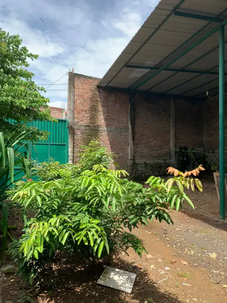 Tanah cocok untuk investasi