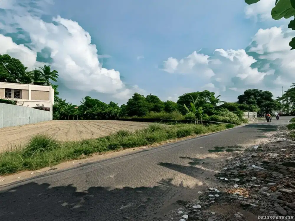 Dekat Kampus Sanata Dharma Tanah Jogja Maguwoharjo Cocok Usaha & Kos