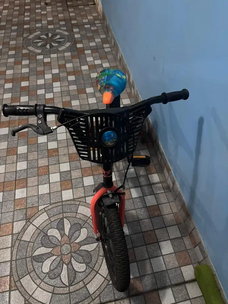Sepeda anak usia 5 th