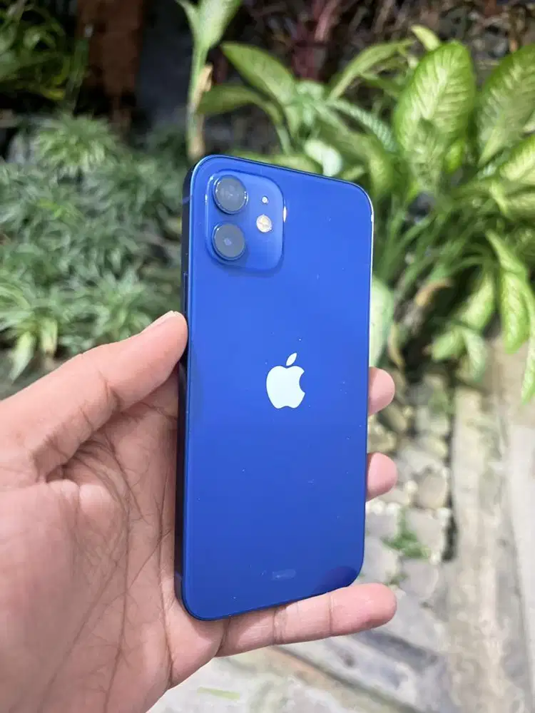 Jual ip 12 basic blue color