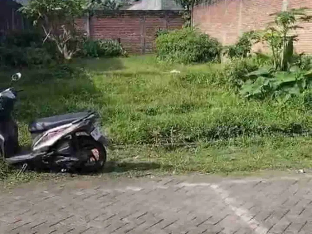 Tanah SHM Bamban Asrikaton Pakis Malang