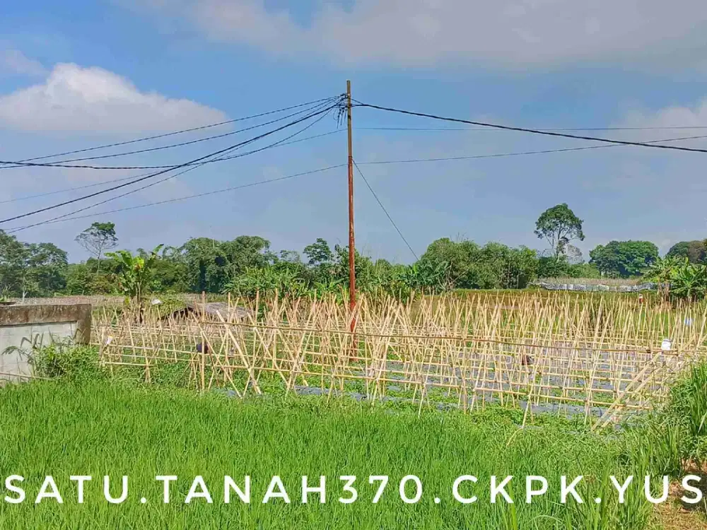 Dijual tanah sawah kebun luas subur pinggir jalan view bagus asri