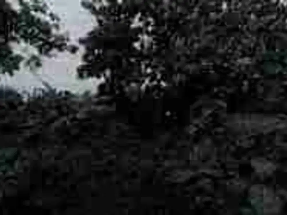 Dijual Via Lelang Tanah Jl. Desa, Ds. Sidokumpul Gresik