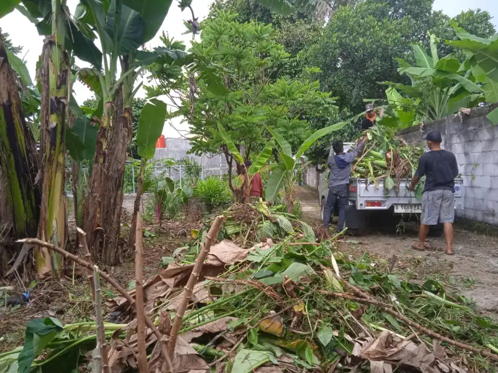 Jasa perapihan kebun