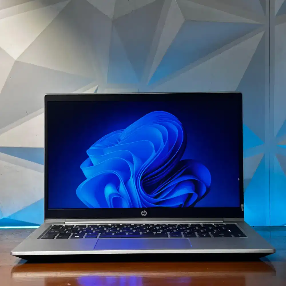 HP PROBOOK 430 G8
CORE I3-1115G4 RAM 8GB SSD 256GB