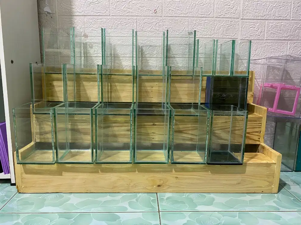 PRELOVED PAKET USAHA JUALAN IKAN CUPANG SIAP PAKAI