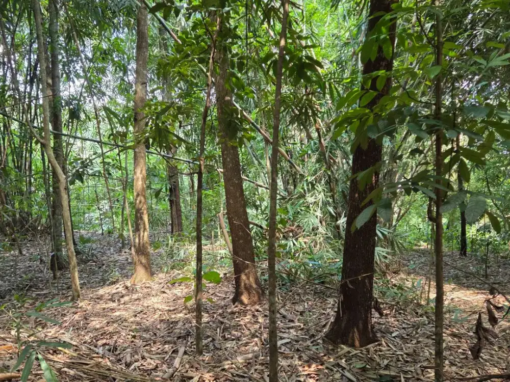 Jual Tanah Banjar Patroman Batulawang Harga Murah sudah SHM