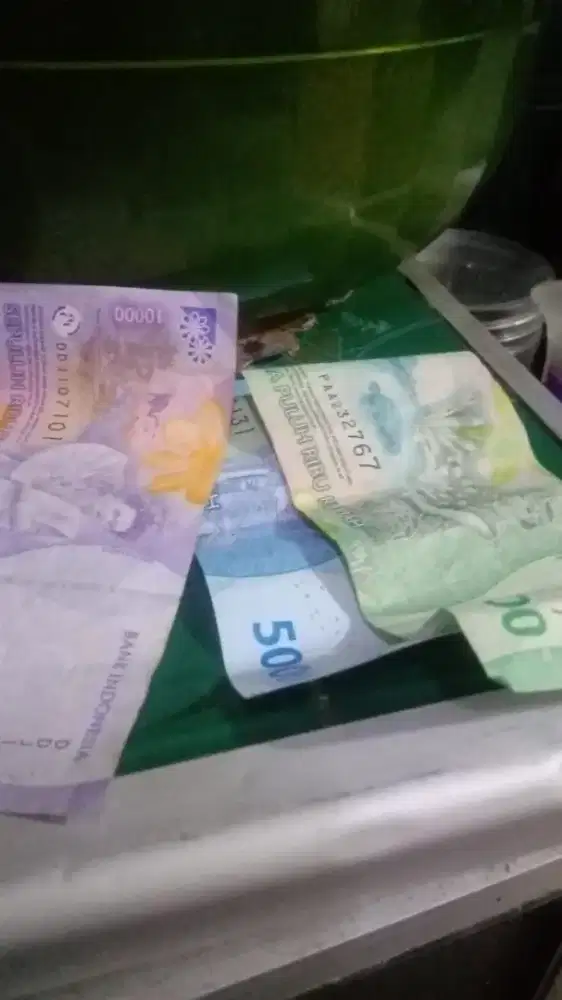 Freelance apa aja,termasuk nyetrika laundry